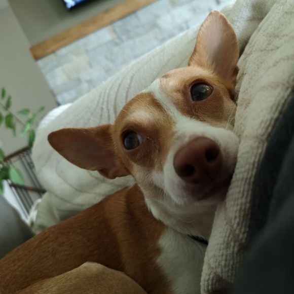 Nice to meet you! I'm Katherine 🇨🇦 - Picture 2 of 3